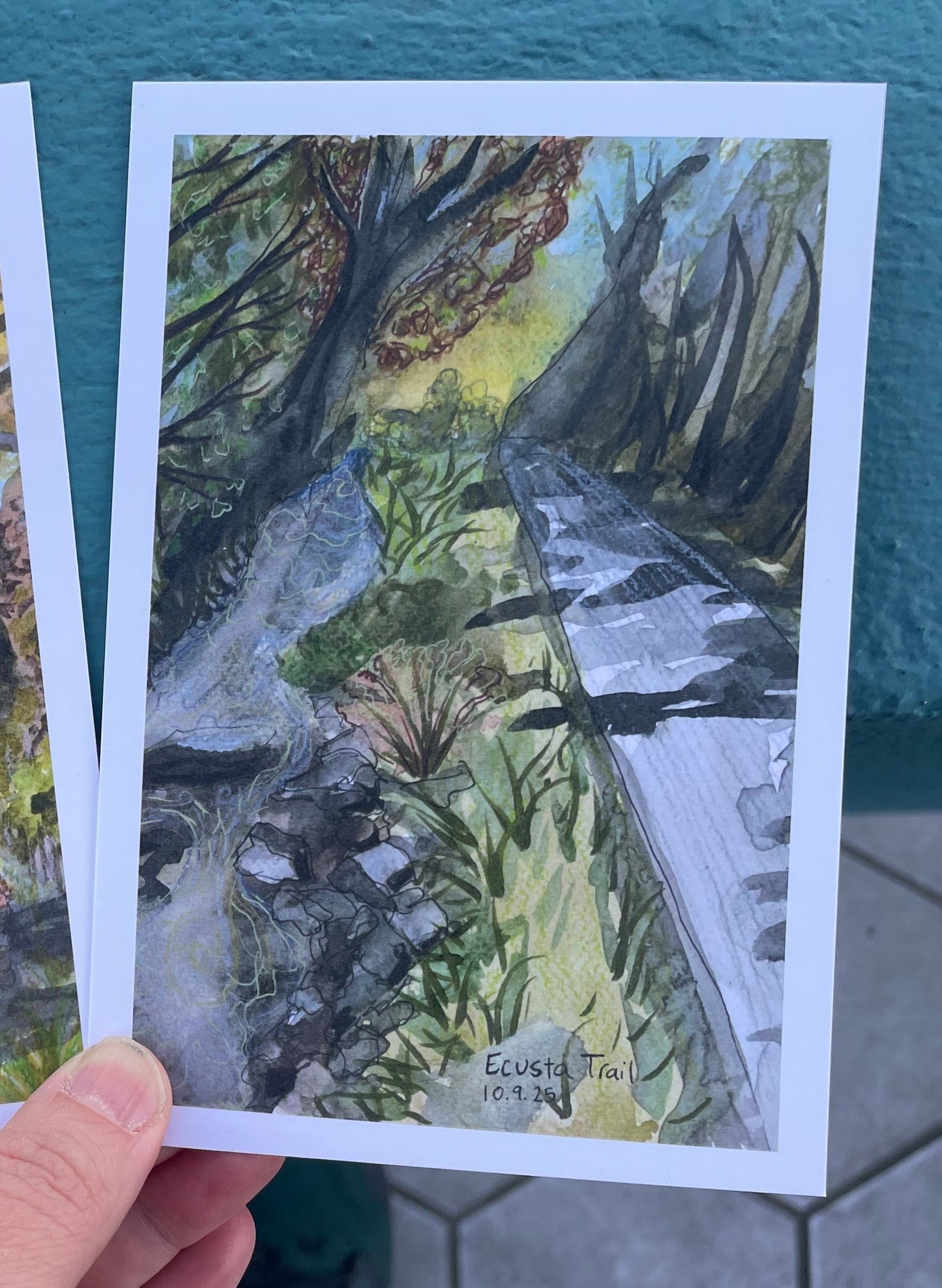 Creekside: Ecusta Trail postcard