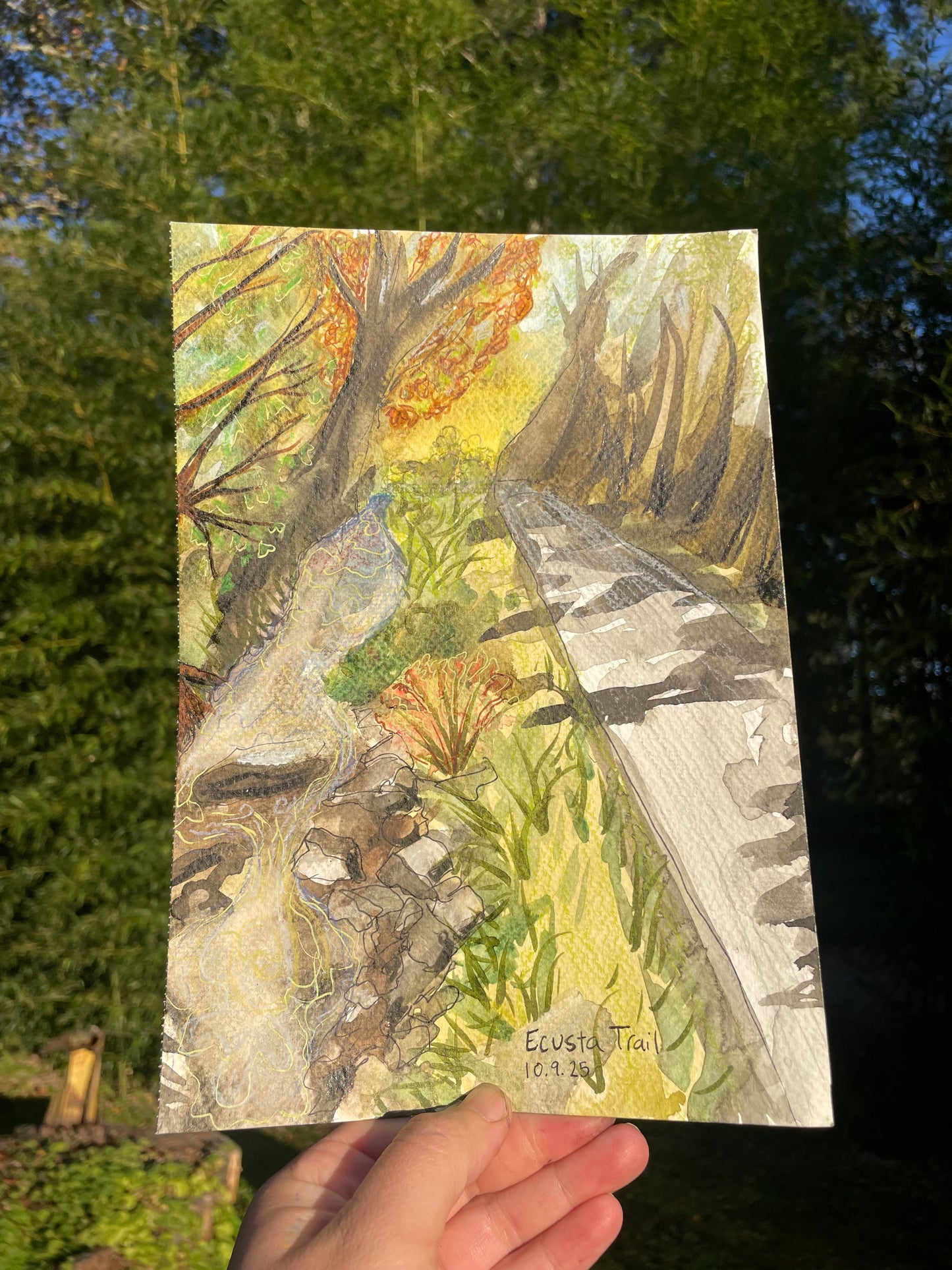 Creekside: Ecusta Trail painting