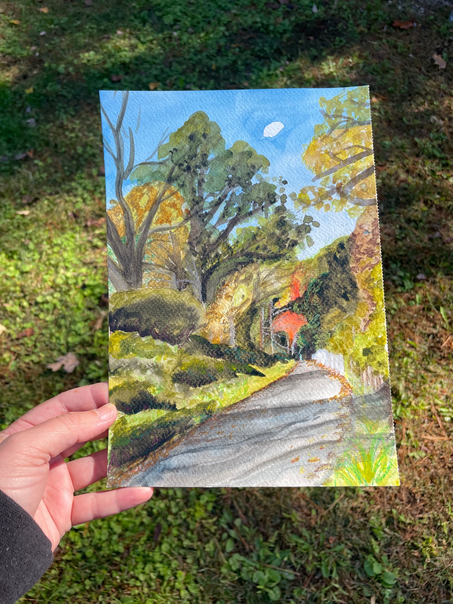 Daymoon: Ecusta Trail painting