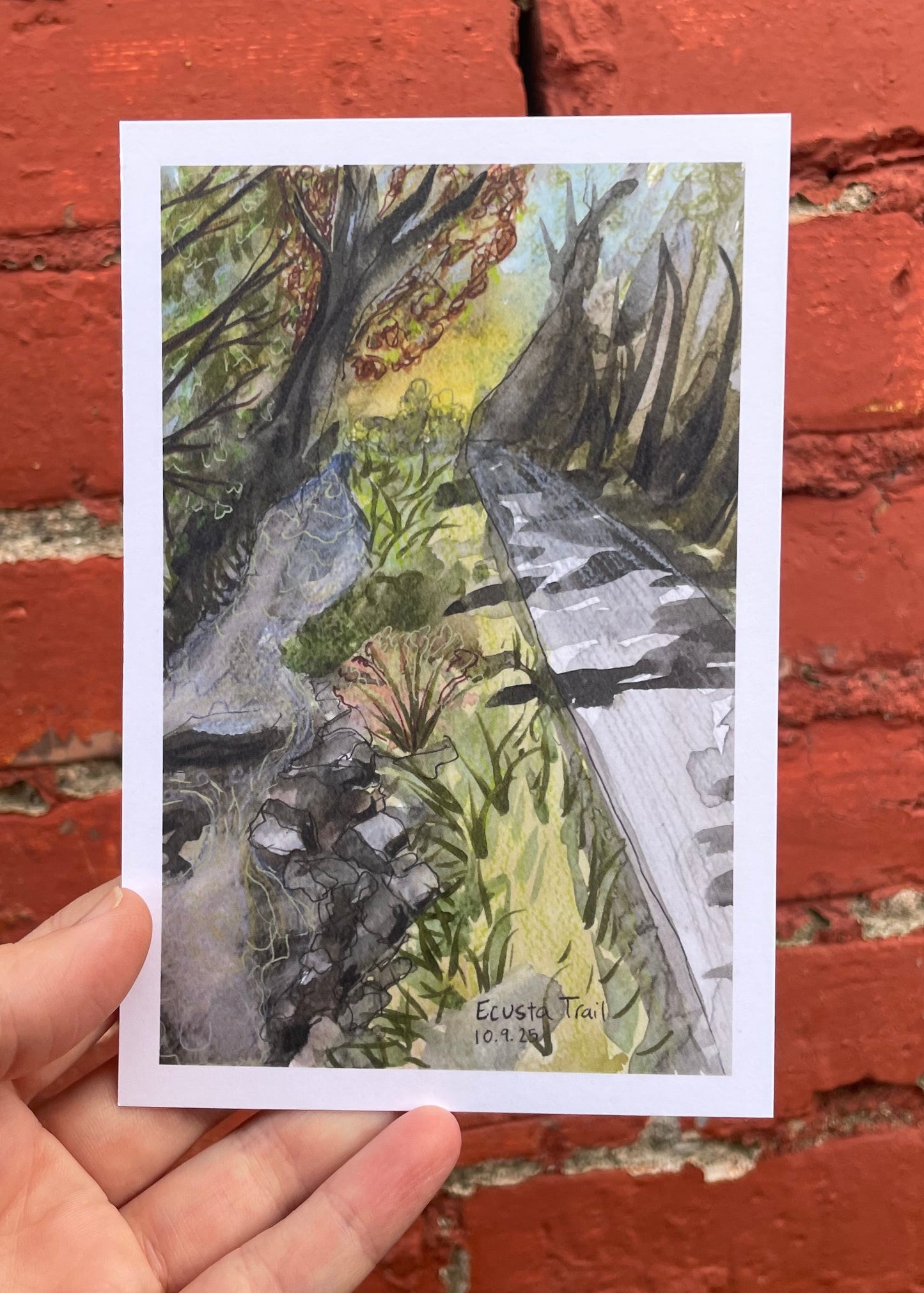 Creekside: Ecusta Trail postcard