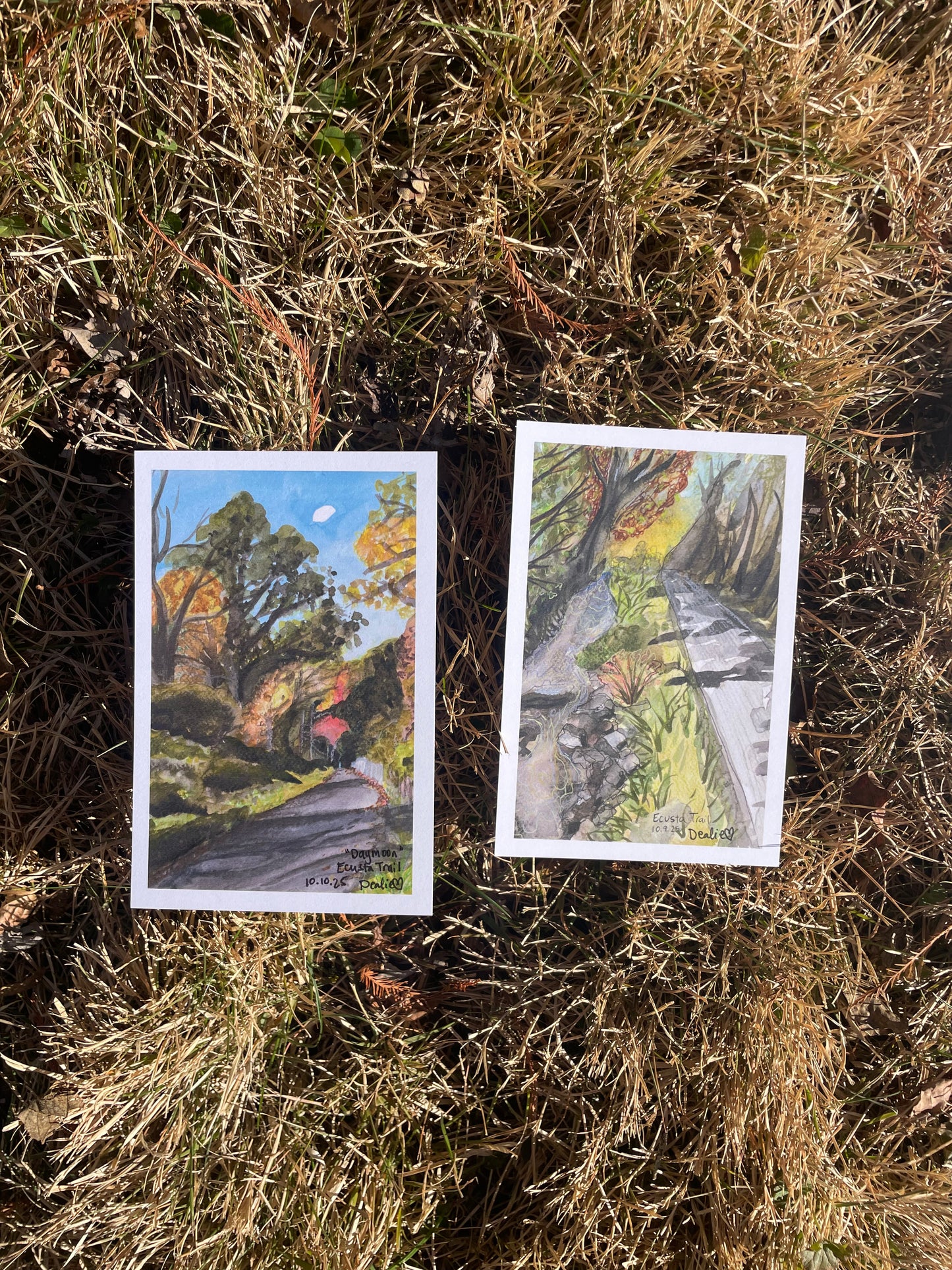 “Daymoon”: Ecusta Trail postcard